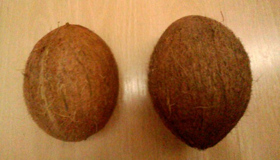 porovnani-kokosu2.jpg