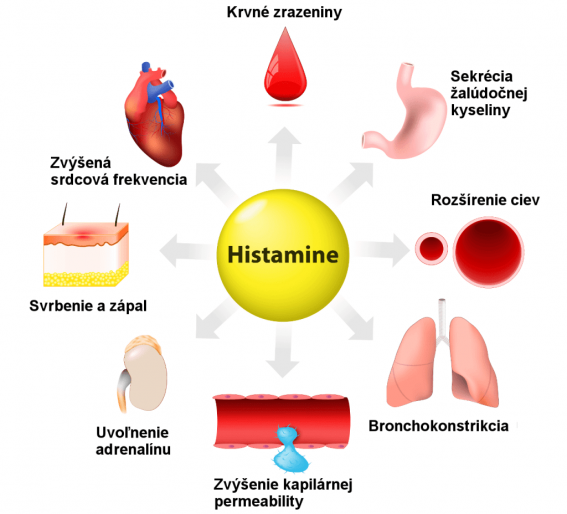 antihistaminika-posobia-na-histamin-1024x928.png