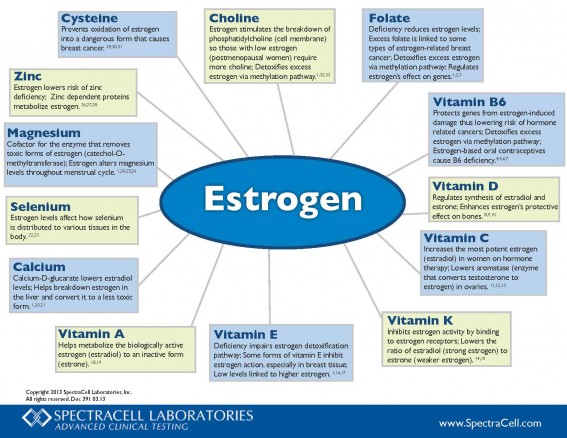 Nutrient Correlation Wheel on Estrogen.jpg
